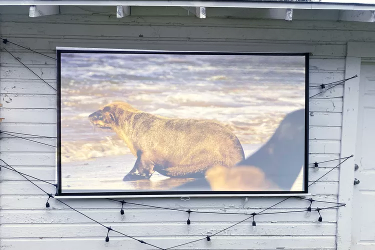 The 5 Best Outdoor Movie Screens of 2024